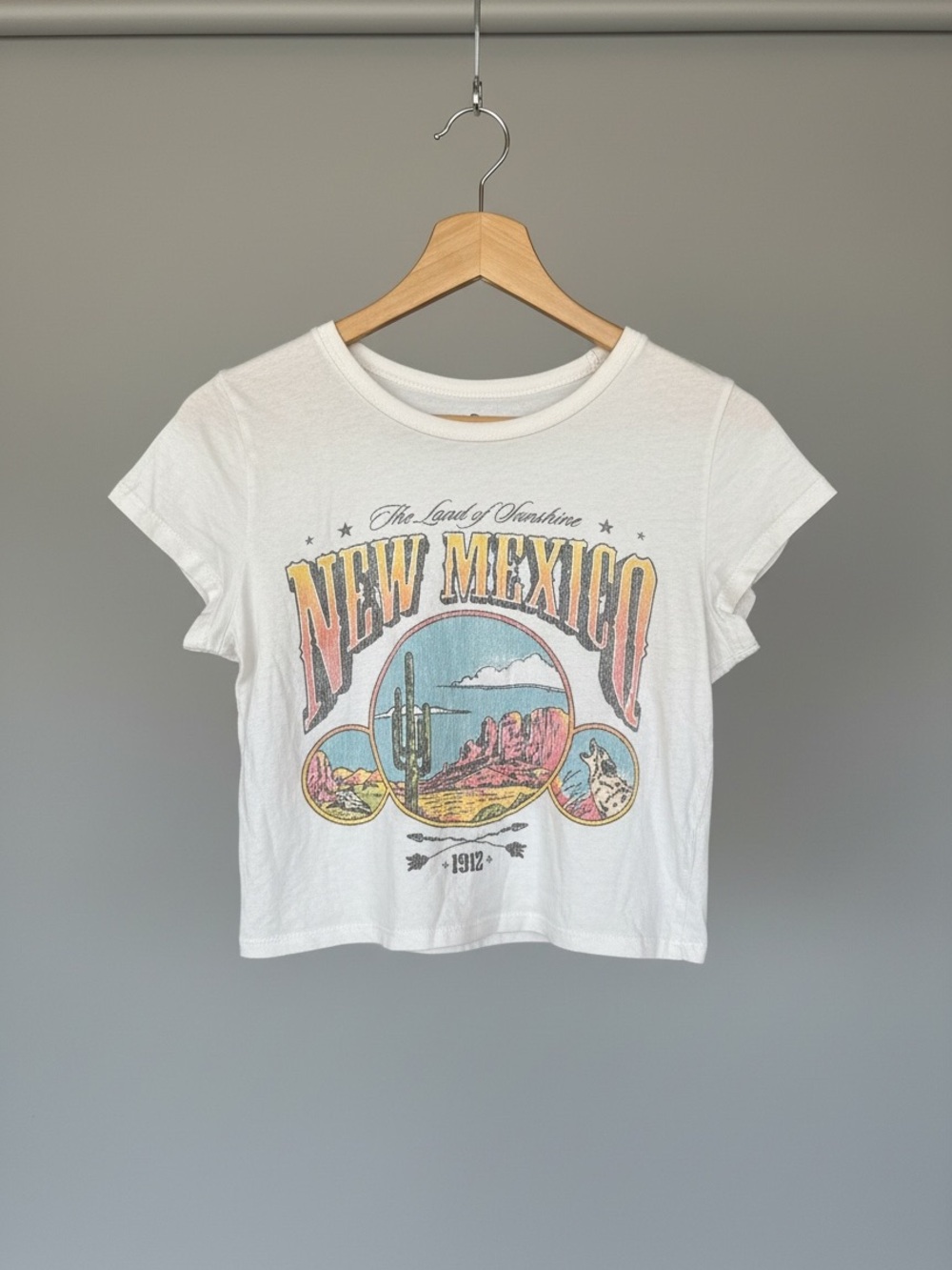 Hollister White New Mexico Graphic Crop Tee with Pastel Accents